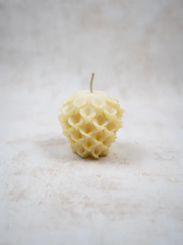 Produkt Kremowy Pąk Obraz